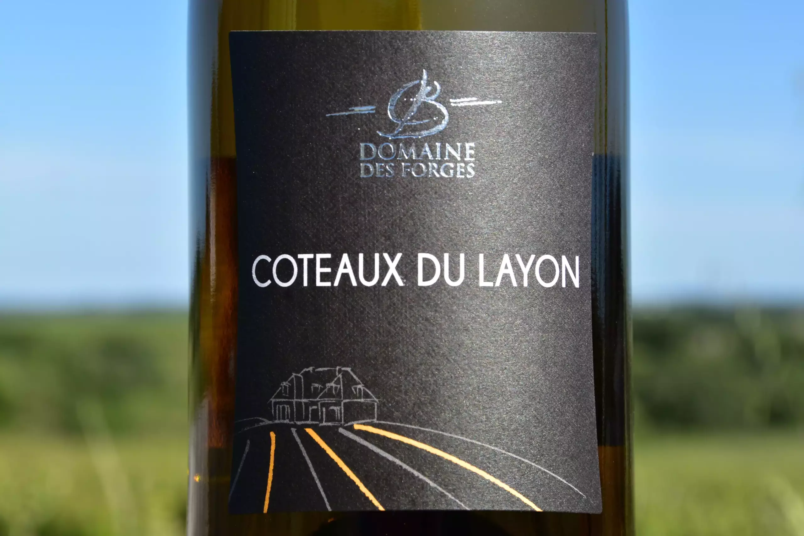 Coteaux du Layon